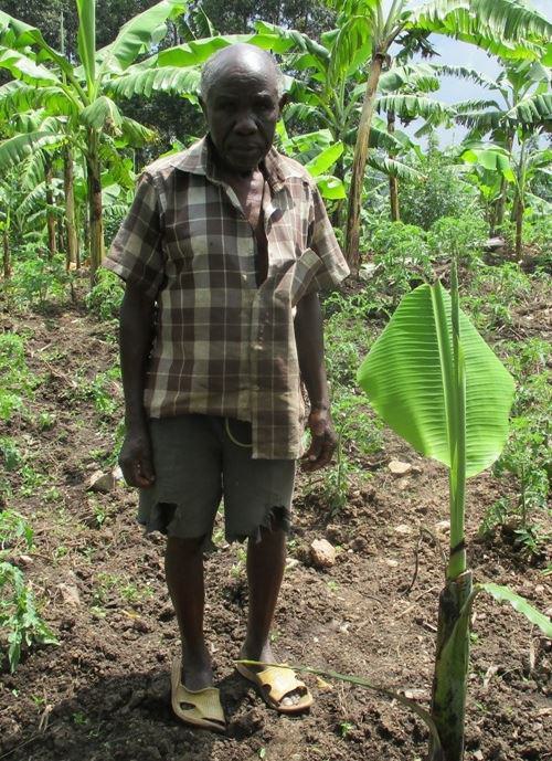 John Kaliisa
